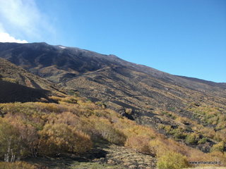 nte Zappinazzo-04-11-2012 10-57-40